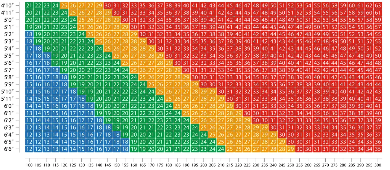 BMI chart with height, weight and bmi metrics